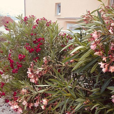 شقة House Agradable سيغيت فغانييتْسا المظهر الخارجي الصورة